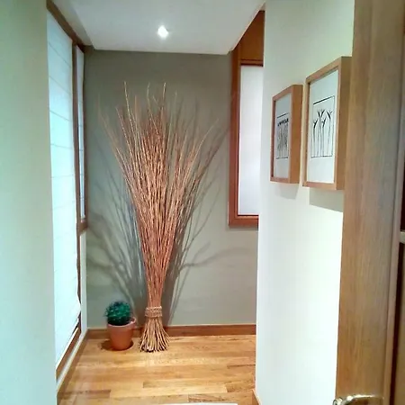 Apartamento De Lujo Centro Βίγκο